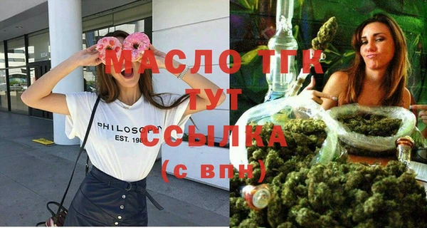 молекула духа Волоколамск
