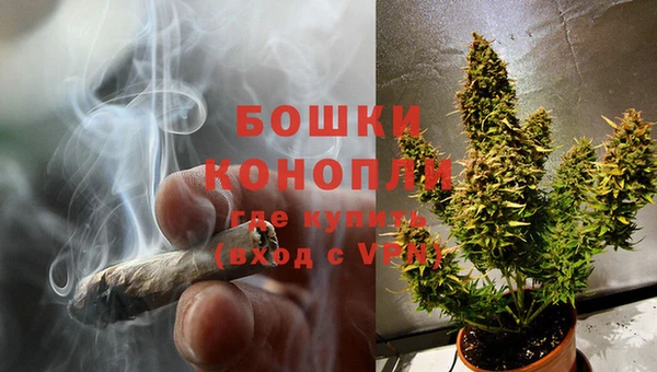 молекула духа Волоколамск