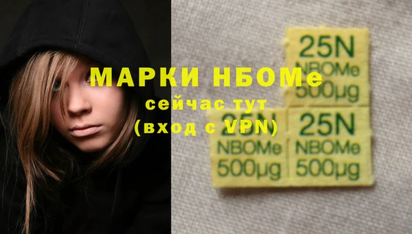 молекула духа Волоколамск